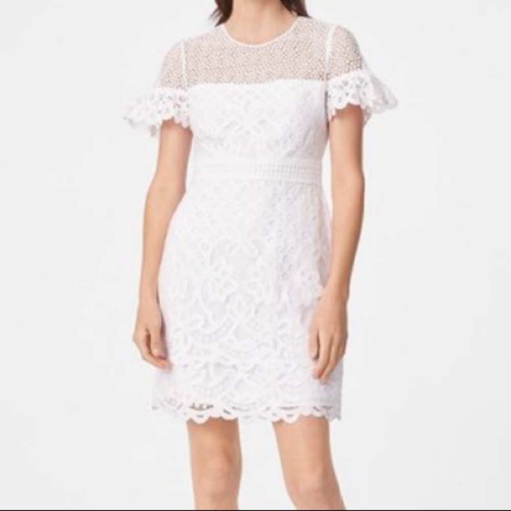 Club Monaco White Wollstan Lace Dress